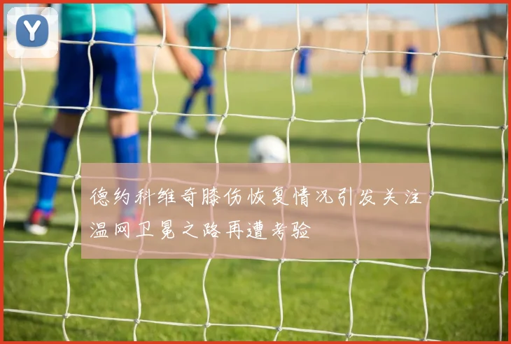 德约科维奇膝伤恢复情况引发关注温网卫冕之路再遭考验