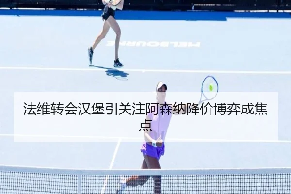 法维转会汉堡引关注阿森纳降价博弈成焦点
