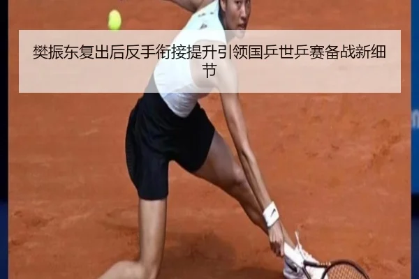 樊振东复出后反手衔接提升引领国乒世乒赛备战新细节