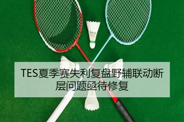 TES夏季赛失利复盘野辅联动断层问题亟待修复